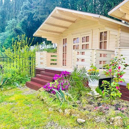 Vacation Home Apsar New Athos Ngoại thất bức ảnh