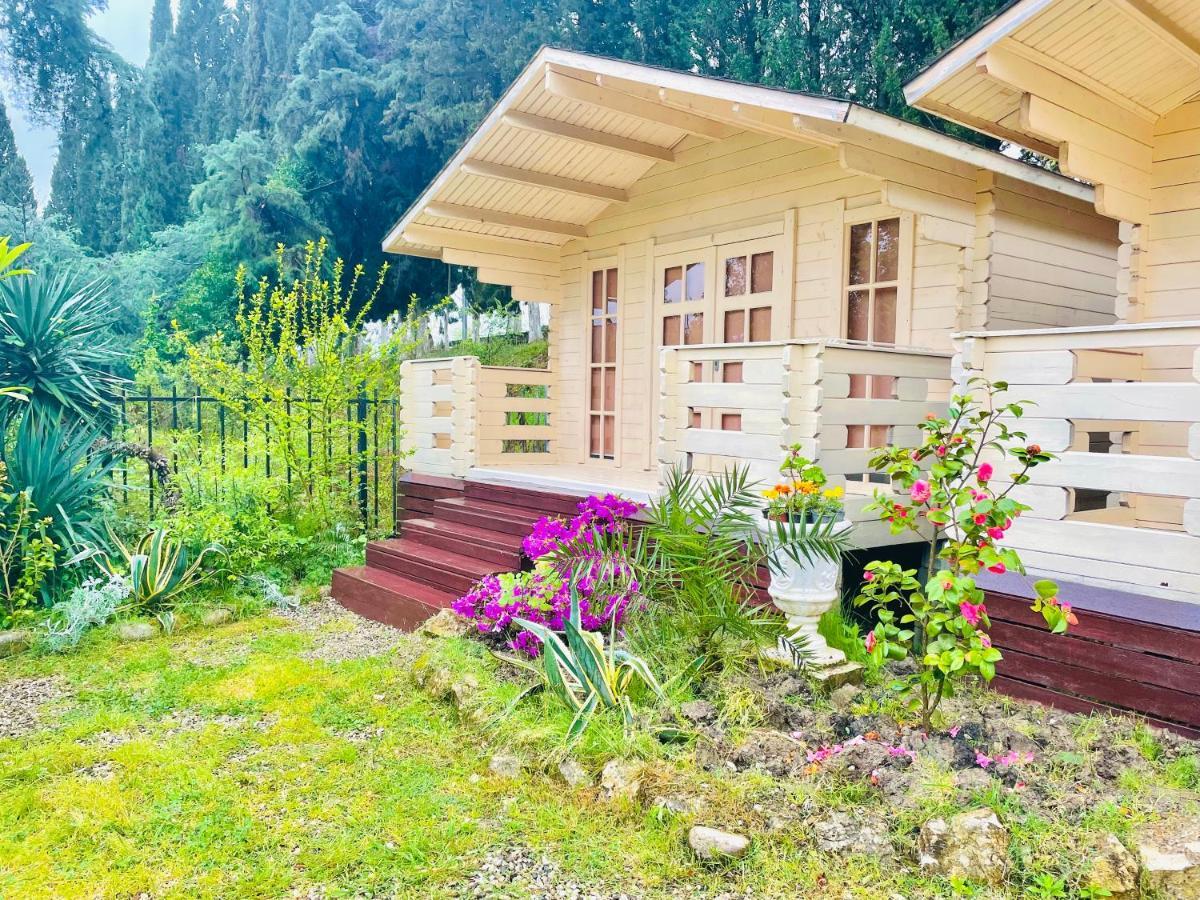 Vacation Home Apsar New Athos Ngoại thất bức ảnh