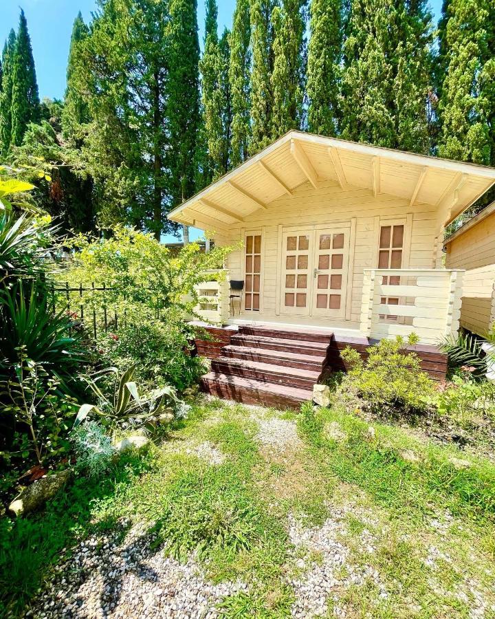 Vacation Home Apsar New Athos Ngoại thất bức ảnh